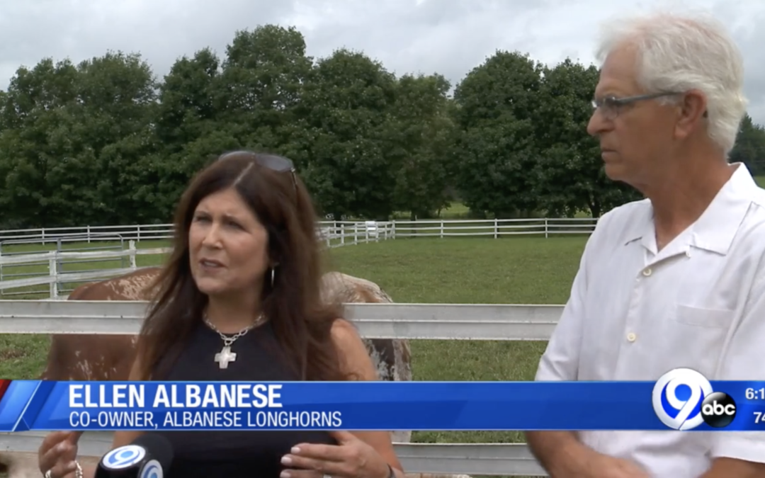 Albanese Longhorns and Farm Store Featured on Syracuse News Channel 9